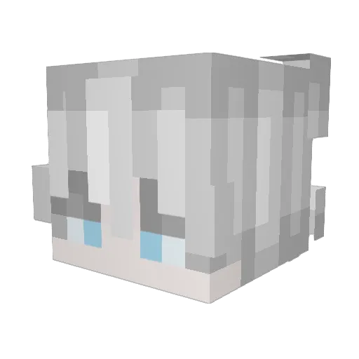 Lacerda05 Minecraft avatar head, 3D render