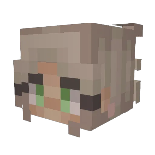 Lacey1135 Minecraft avatar head, 3D render