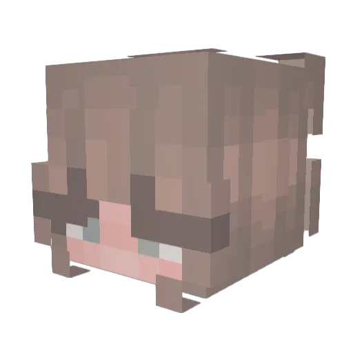 LaceyMaps Minecraft avatar head, 3D render