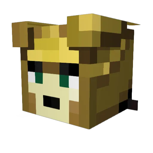 LachieDeBocka Minecraft avatar head, 3D render