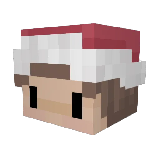 Lachlan_W Minecraft avatar head, 3D render