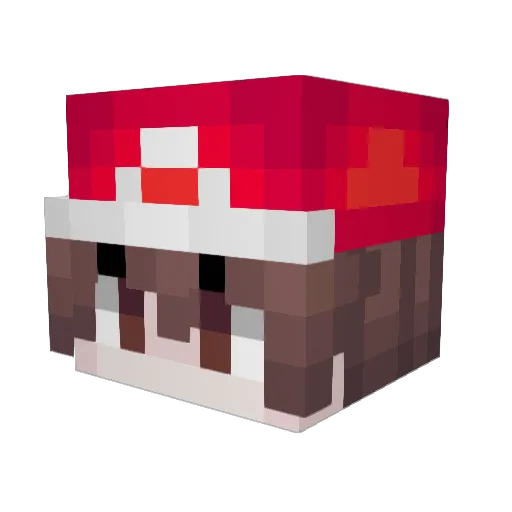 LachsLauch Minecraft avatar head, 3D render