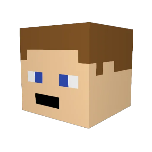 LachsTanne71434 Minecraft avatar head, 3D render