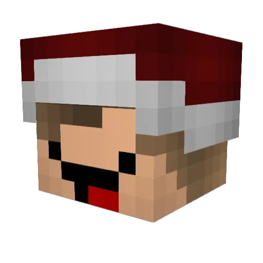 Lachsturz Minecraft avatar head, 3D render