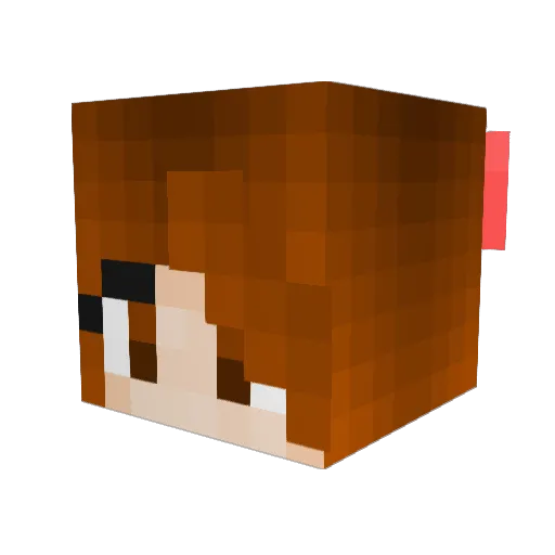 Laci_Green Minecraft avatar head, 3D render