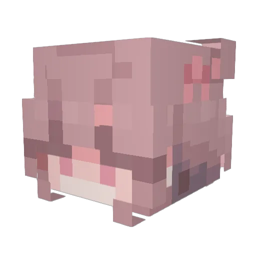 LackingEmpathy Minecraft avatar head, 3D render