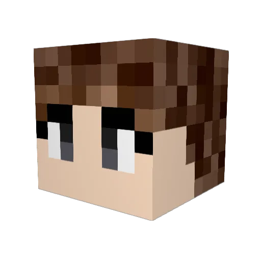 Lacozila Minecraft avatar head, 3D render