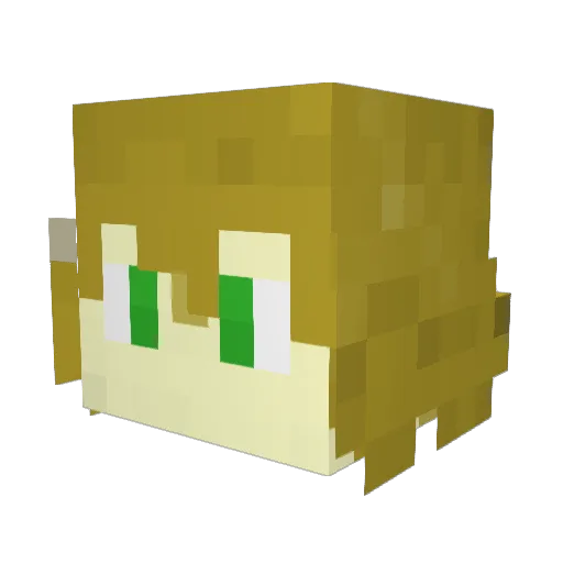 Lacrimosus Minecraft avatar head, 3D render