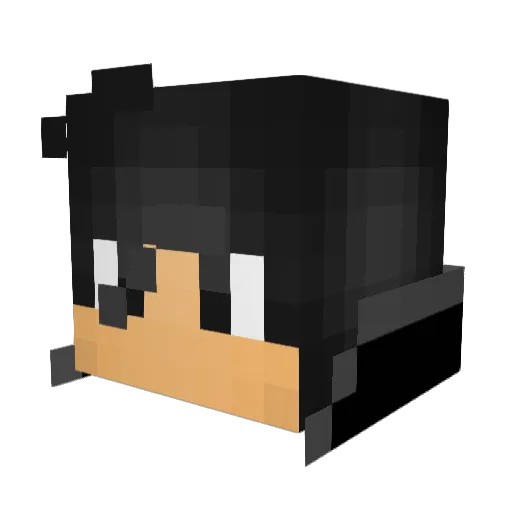 LacrosseGuy12 Minecraft avatar head, 3D render