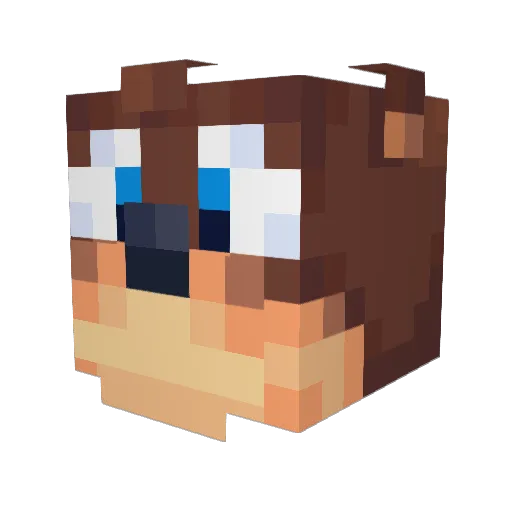 Lact0seL0rd Minecraft avatar head, 3D render