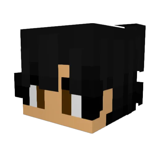 Lad_the_asian Minecraft avatar head, 3D render