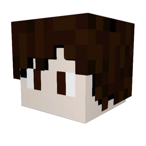 Ladarelo Minecraft avatar head, 3D render