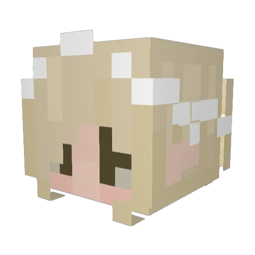 Ladiness Minecraft avatar head, 3D render