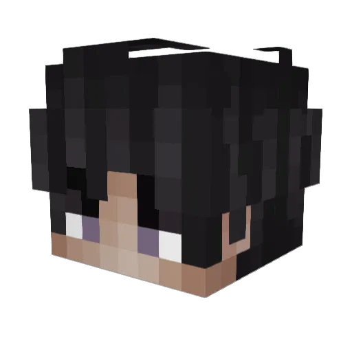 Ladrell Minecraft avatar head, 3D render