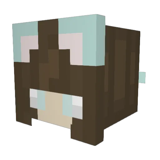 Lady160911 Minecraft avatar head, 3D render