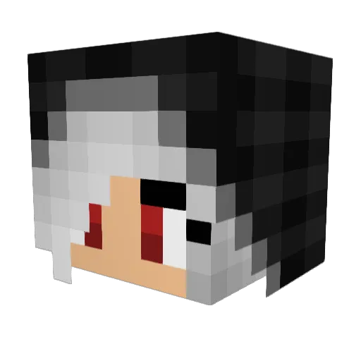 LadyAnarchy Minecraft avatar head, 3D render