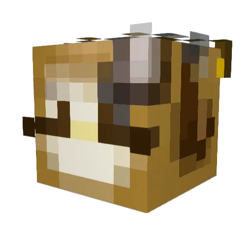 LadyAsphy Minecraft avatar head, 3D render