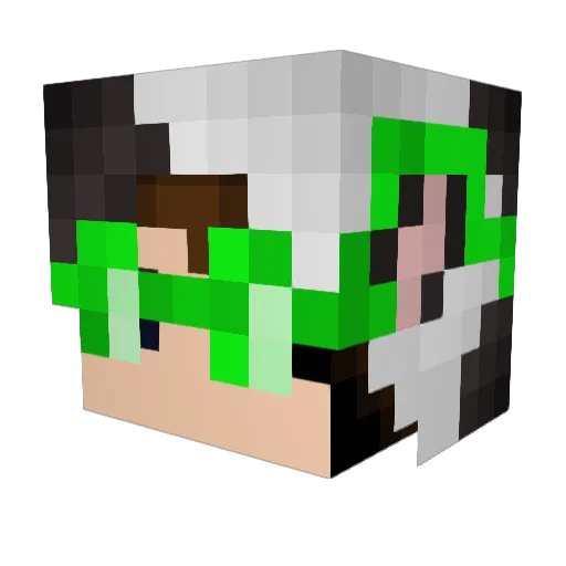 LadyAwesomeLOL Minecraft avatar head, 3D render
