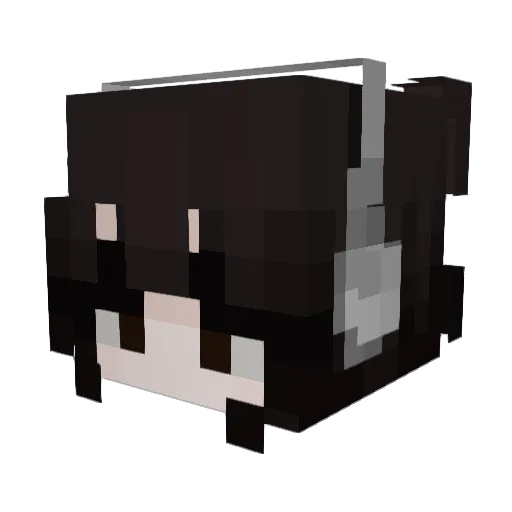 LadyDragon19 Minecraft avatar head, 3D render