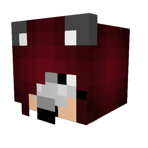 LadyDragonfury Minecraft avatar head, 3D render
