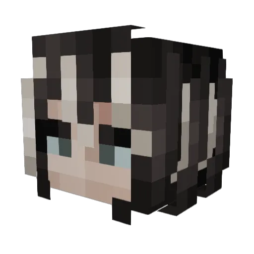 LadyDragoon Minecraft avatar head, 3D render