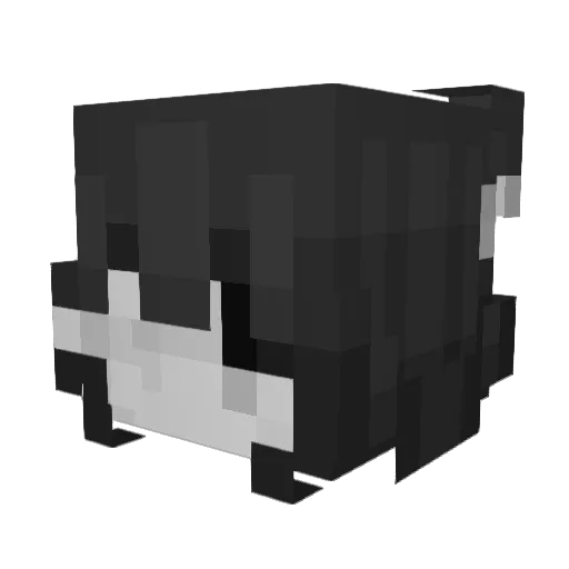 LadyFeh Minecraft avatar head, 3D render