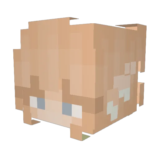 LadyFreyaKat Minecraft avatar head, 3D render