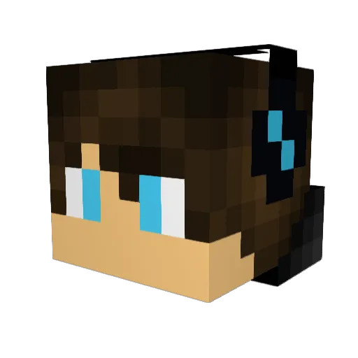 LadyGoalie23 Minecraft avatar head, 3D render