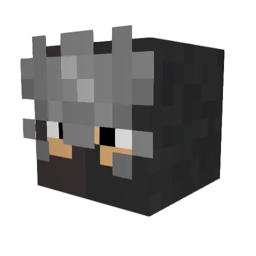 LadyJohn31 Minecraft avatar head, 3D render
