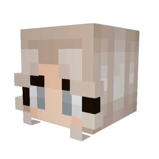 LadyKatie8625 Minecraft avatar head, 3D render