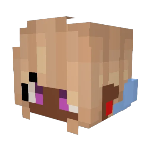 LadyKozy Minecraft avatar head, 3D render