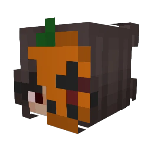 LadyMadrizZz Minecraft avatar head, 3D render
