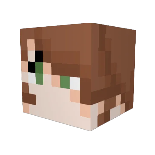 LadyMilkyway Minecraft avatar head, 3D render