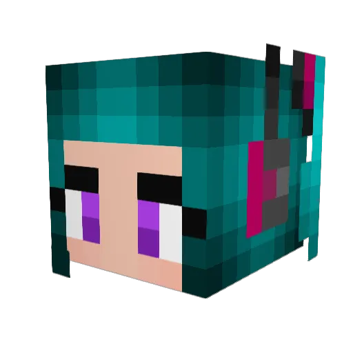 LadyNarwal Minecraft avatar head, 3D render