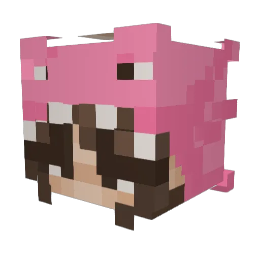 LadyNelya Minecraft avatar head, 3D render