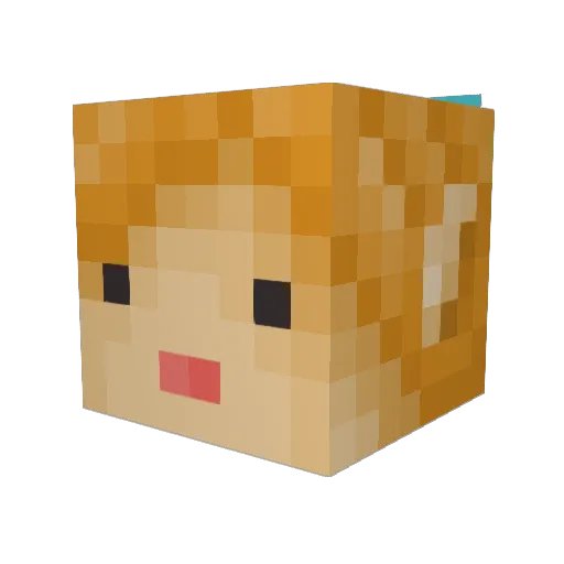 LadyNimue Minecraft avatar head, 3D render