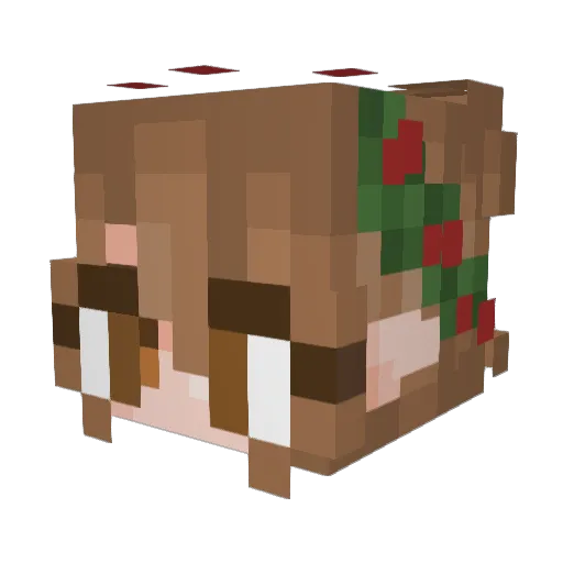 LadyPF Minecraft avatar head, 3D render