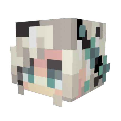 LadyPinkNL Minecraft avatar head, 3D render