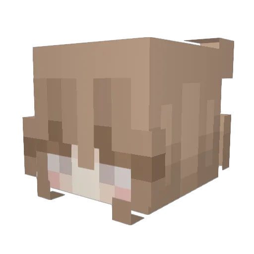 LadyPsycho_ Minecraft avatar head, 3D render
