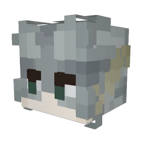 LadyRazzBerry Minecraft avatar head, 3D render