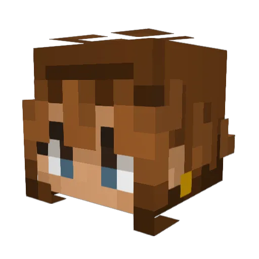 LadyRobin22 Minecraft avatar head, 3D render