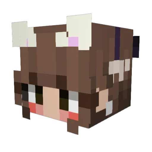 LadySamurai1 Minecraft avatar head, 3D render