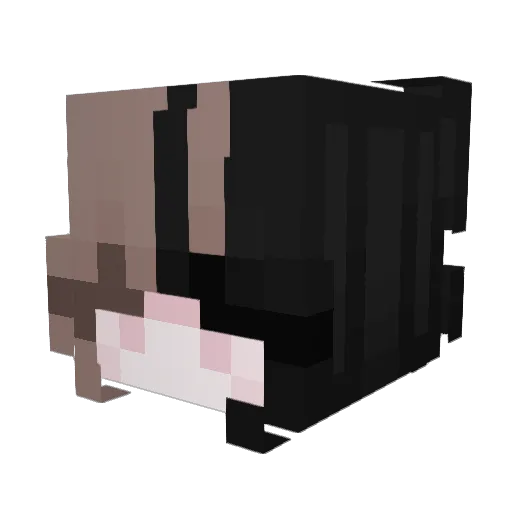 LadySavagetusk Minecraft avatar head, 3D render