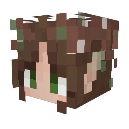 LadyShadow04 Minecraft avatar head, 3D render
