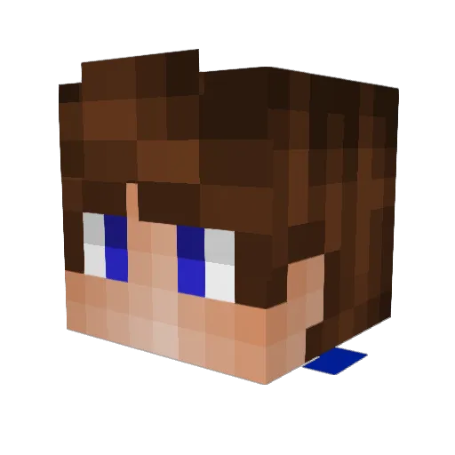LadySkyFox Minecraft avatar head, 3D render