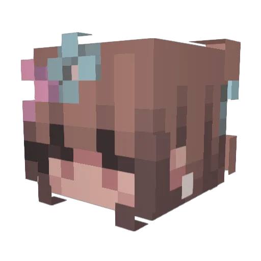 LadySkydash Minecraft avatar head, 3D render