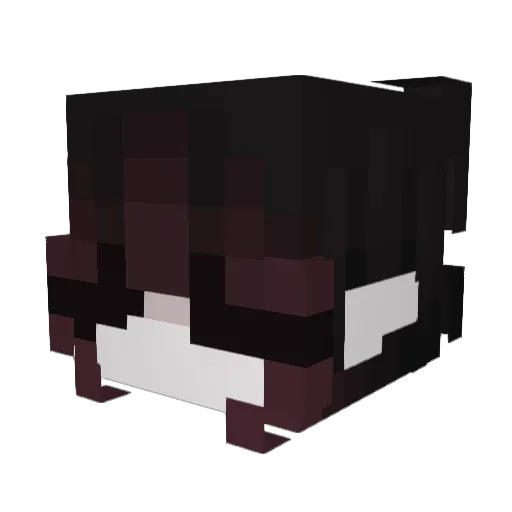 LadySkye204 Minecraft avatar head, 3D render