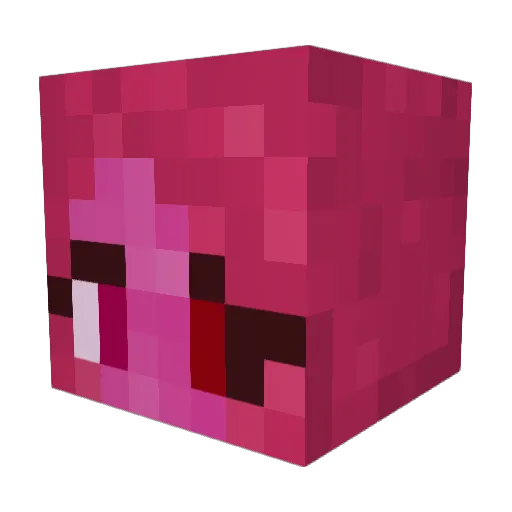 LadyTory Minecraft avatar head, 3D render