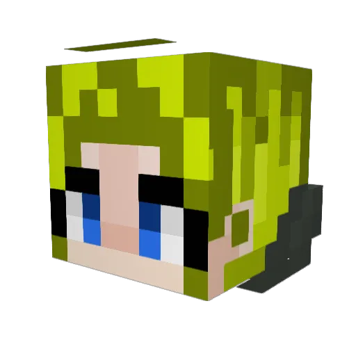LadybirdSpider Minecraft avatar head, 3D render