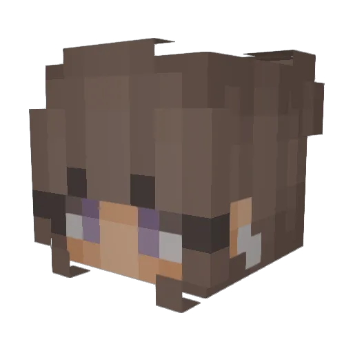 Ladybug6060 Minecraft avatar head, 3D render